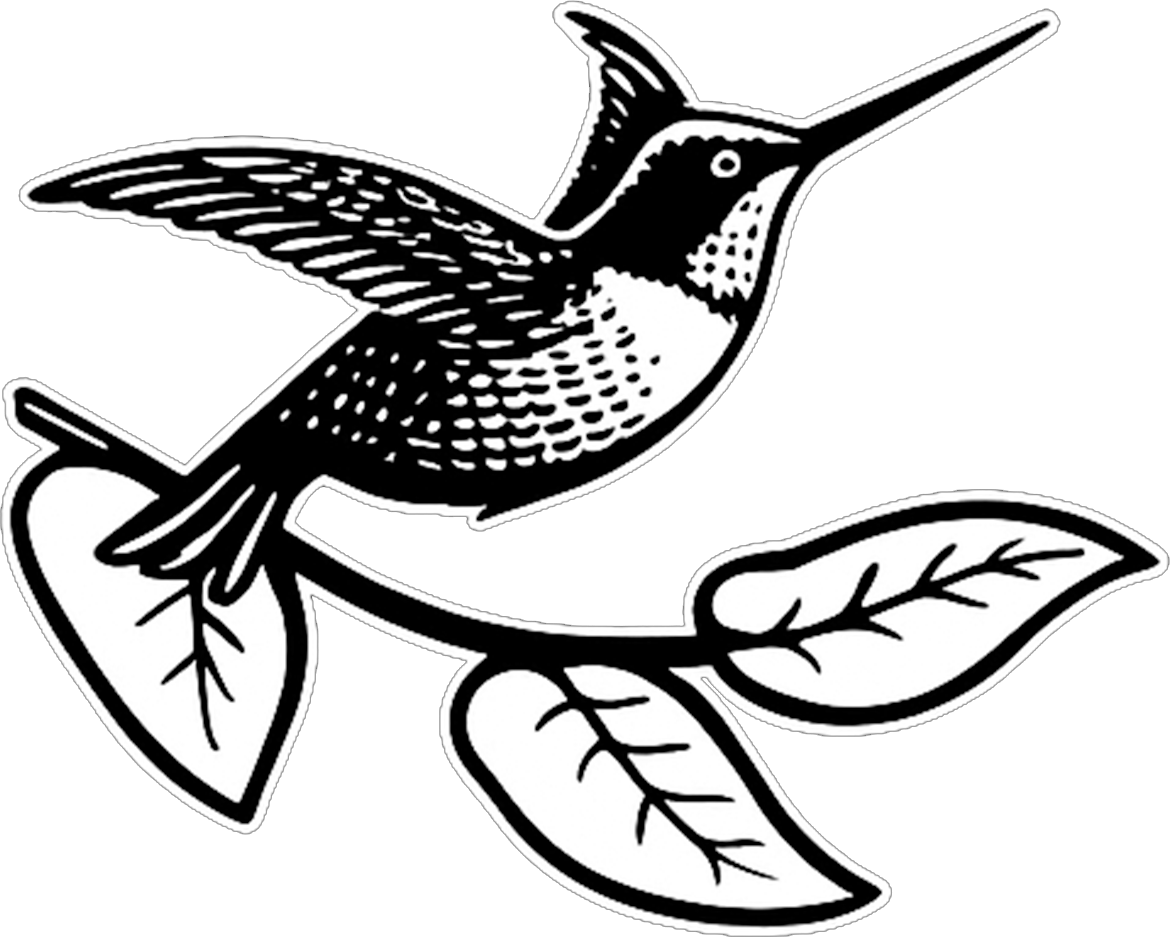 Lil' Sugarbird